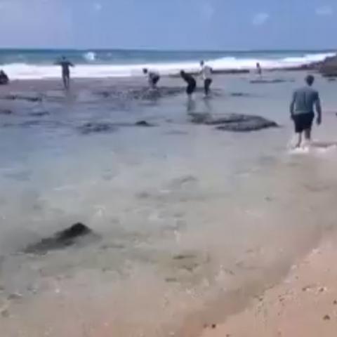 תושב פתח תקווה ניצל מטביעה (וידיאו) - חדשות בפתח תקווה
