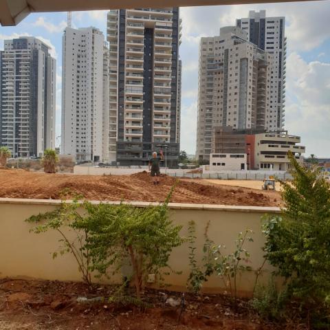 על ראש הגבעה עומדת שכנה - צופה מתבוננת בסלון שלי - חדשות בפתח תקווה