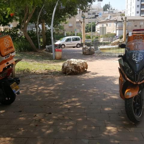 גבר התמוטט בגן ציבורי ברחוב אברבנאל בפתח תקווה - חדשות בפתח תקווה