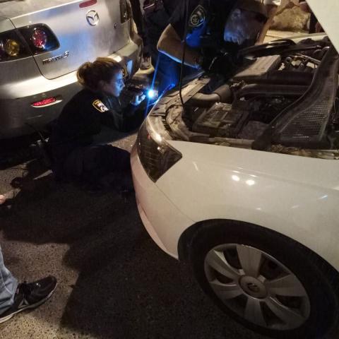 את מי חיפשה המשטרה ברחוב רוטשילד? - חדשות בפתח תקווה