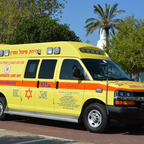 גבר נפצע מבעיטת סוס בכפר סירקין - חדשות בפתח תקווה