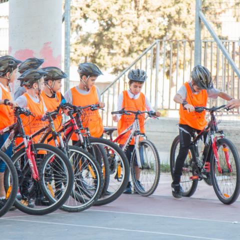 השבוע הוא שבוע הרכיבה וההליכה בפתח תקווה - חינוך בפתח תקווה