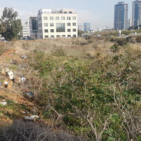חניון חדש יוקם במתחם הבילויים שברמת סיב - חדשות בפתח תקווה