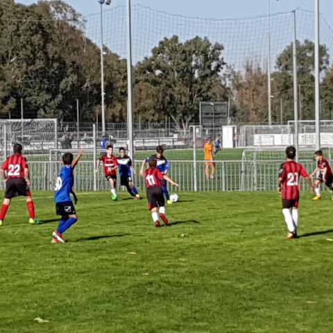 בהפועל פ"ת בונים קבוצת ילדים מנצחת - ספורט בפתח תקווה