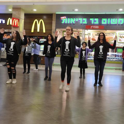פעילים למען בעלי חיים פצחו בריקוד בקניון הגדול בפתח תקוה (וידיאו) - בעלי חיים בפתח תקווה