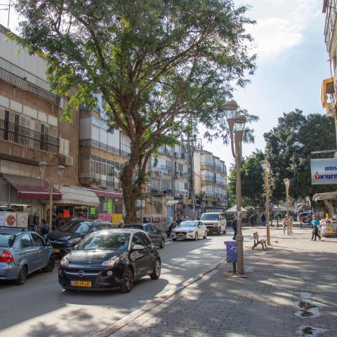 מלחמת רוסיה - אוקראינה ברח' ההגנה: גידף "רוסים מסריחים, יהודים, תעופו מפה" והיכה אותם באגרופים לראשם - חדשות בפתח תקווה