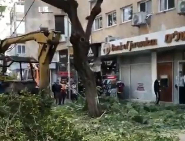 בשל עבודות הגיזום העירייה הפסיקה את החשמל ברחובות: ההגנה, מוהליבר וחובבי ציון בפתח תקווה (וידיאו) - חדשות בפתח תקווה