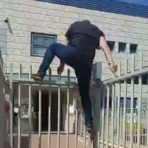 השבתה של שעתיים במתחמי גני ילדים בשכונות אם המושבות החדשה והוותיקה בשל ההחלטה להסיר את השמירה - חדשות בפתח תקווה