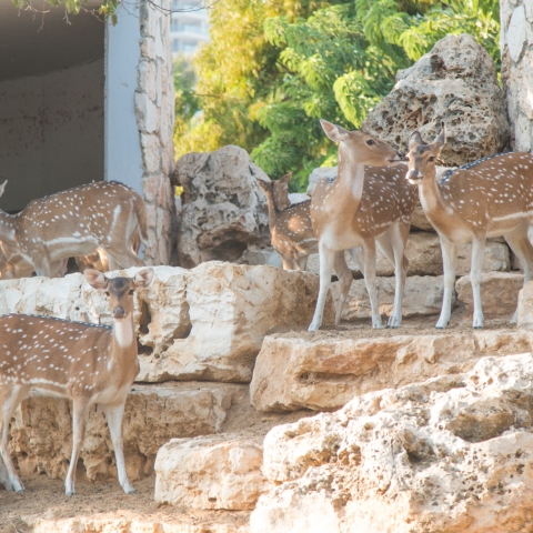 עיריית פתח תקווה מזמינה את תושבי הדרום ליהנות ממתקני העיר העירוניים - חדשות בפתח תקווה