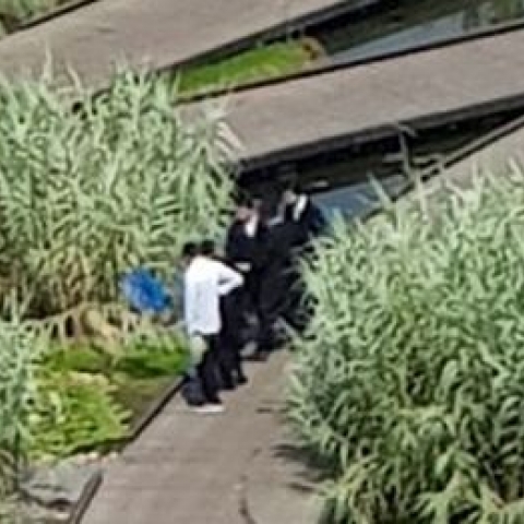 צפו: מגיעים לאגם בפארק אוחיון כדי לתפוס דגי נוי ברשת ולקחת אותם (וידיאו) - איכות הסביבה וחזות העיר בפתח תקווה