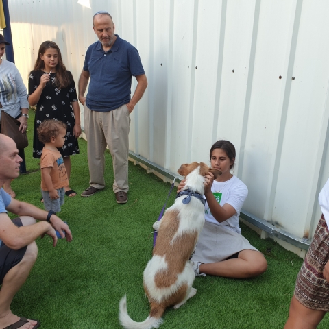 הפנינג יום אימוץ בפתח תקווה: תושבים זכו בחברים נאמנים לחיים (וידיאו) - בעלי חיים בפתח תקווה