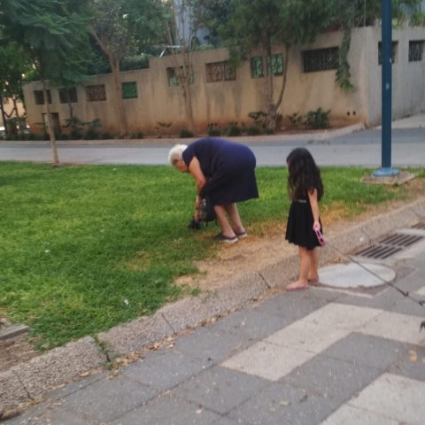 מבצע אכיפה נרחב נגד בעלי כלבים שאינם אוספים את גללי כלביהם - איכות הסביבה וחזות העיר בפתח תקווה