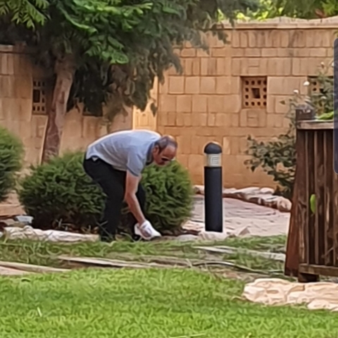 העיריה מקדמת חוק עזר עירוני לאכיפת גללי כלבים בעזרת DNA - חדשות בפתח תקווה
