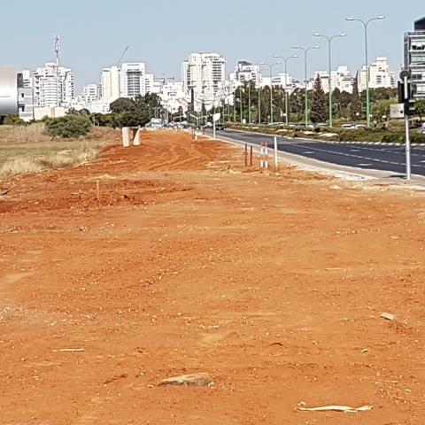 מאות טונות של פסולת, צמחיה עבותה וחולות פונו מדרך שמלצר בפתח תקווה - איכות הסביבה וחזות העיר בפתח תקווה
