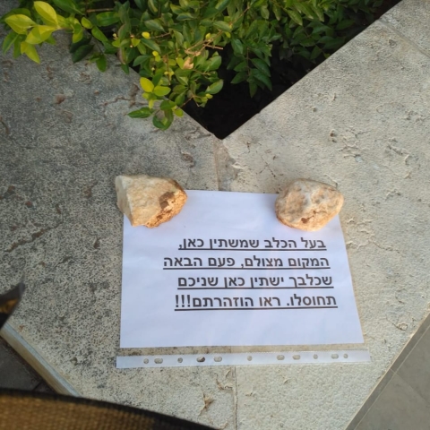 איים לחסל בגלל שכלב השתין בכניסה לבניין שלו - חדשות בפתח תקווה