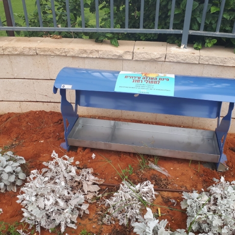  15 עמדות האכלה חדשות הותקנו למען חתולי רחוב - בעלי חיים בפתח תקווה