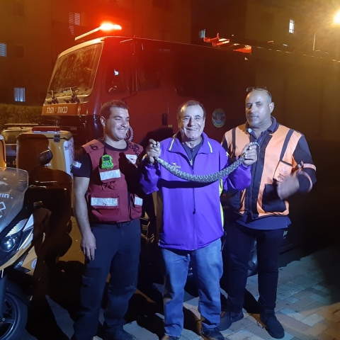 קיבלו דיווח על ריח של גופה במקלט וכשהגיעו למקום גילו סכנות אחרות - חדשות בפתח תקווה