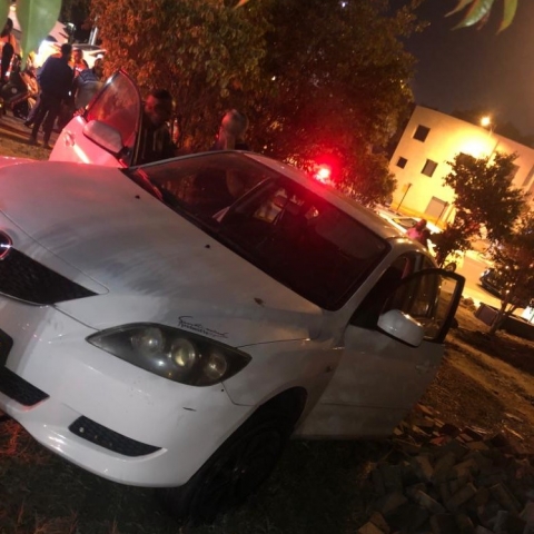 נהגת התנגשה בעץ סמוך לצומת סירקין בפתח תקווה - חדשות בפתח תקווה