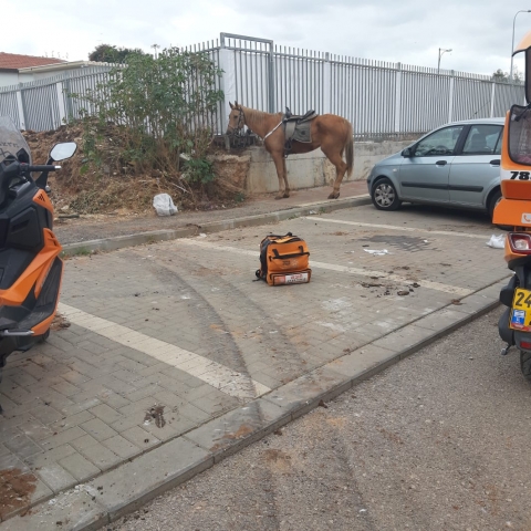 צעיר נפצע לאחר שנפל מסוס עליו רכב ברח' ויזנטל בפתח תקווה. - חדשות בפתח תקווה