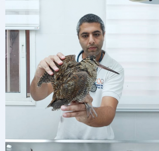 עפה בשמיים ונתקעה במרפסת של דירה בפתח תקווה - בעלי חיים בפתח תקווה
