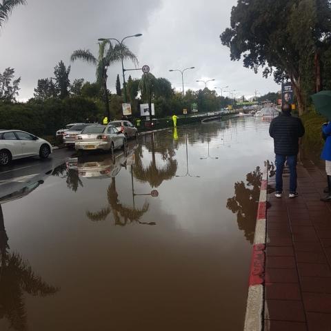 החל מהיום: מזג אוויר סוער בפתח תקווה, משטרת ישראל מפרסמת הנחיות - חדשות בפתח תקווה