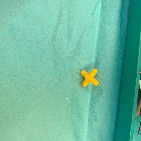 פעוט בן 10 חודשים הובהל לשניידר לאחר שבלע צעצוע - בריאות בפתח תקווה