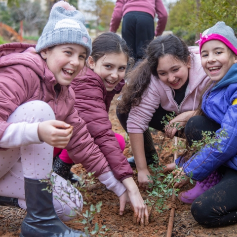 החלו הנטיעות לט"ו בשבט בפתח תקווה - חינוך בפתח תקווה