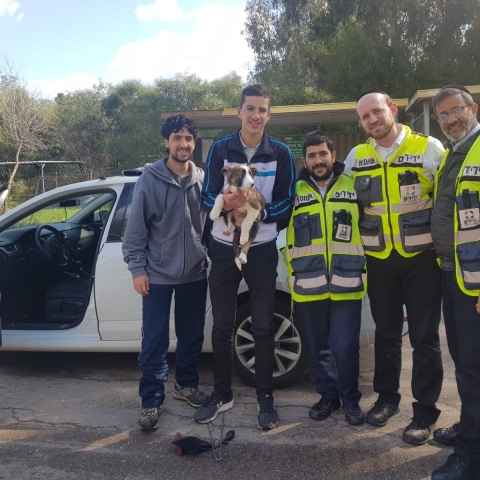 2 כלבים ננעלו ברכב בכניסה למחנה סירקין בפתח תקווה - חדשות בפתח תקווה