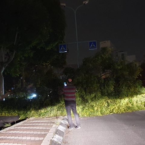 הסערה החלה: עצים קרסו וחסמו כבישים, גדר של אתר בנייה קרסה על רכבים. הפסקות חשמל ברחבי העיר - חדשות בפתח תקווה