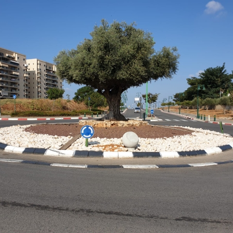 בהוקרה ללוחמי האש: הכיכר ברח' הרב פינטו פינת רח' חפוטא בפתח תקווה תיקרא על שמם של לוחמי האש - חדשות בפתח תקווה