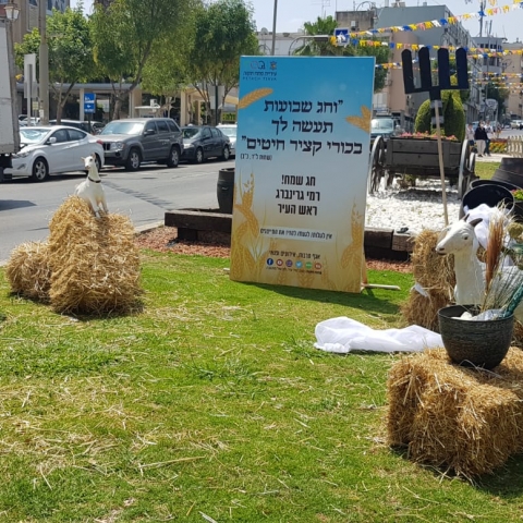 6 כיכרות ברחבי העיר קושטו ברוח חג השבועות - איכות הסביבה וחזות העיר בפתח תקווה
