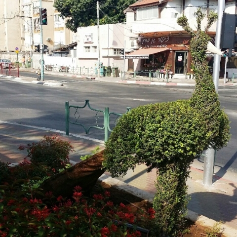 פרויקט פינוי בינוי בשכונת עקיבא הלא היא שכונת אחדות - בנייה ונדל"ן בפתח תקווה