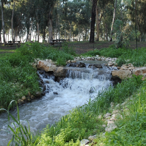 אישה נפצעה מפיצוץ של גזיה בפארק מקורות הירקון סמוך לפתח תקווה. - חדשות בפתח תקווה