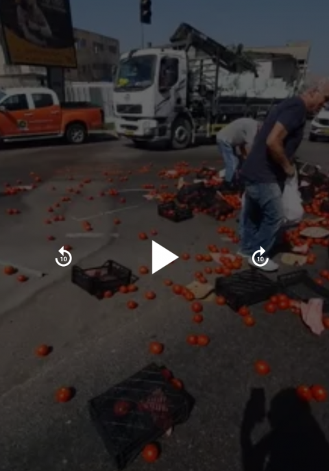 שקשוקה על מצע של כביש בסגנון פתח תקוואי (וידיאו) - חדשות בפתח תקווה