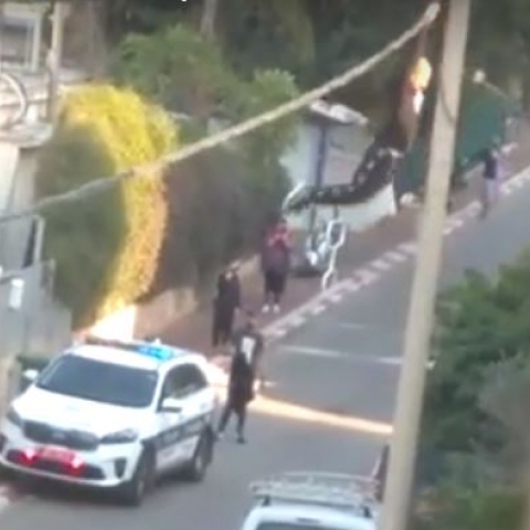 שווה צפייה: בפתח תקווה גבול גבעת שמואל, צעיר נתלה על כבל חשמל (וידיאו) - חדשות בפתח תקווה