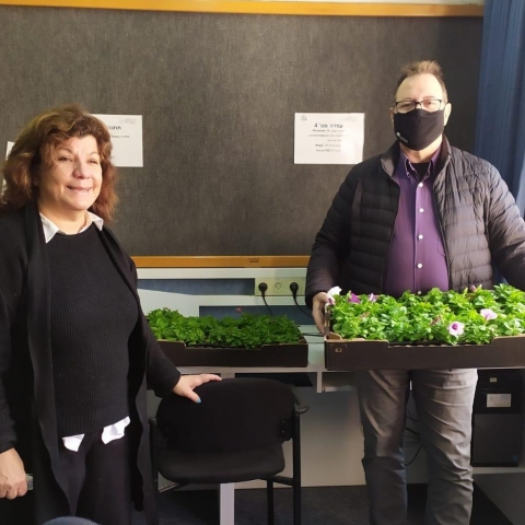 המרכז לעיוורים ולקויי ראיה ומתנ"ס עמישב חילקו עציצים לכבוד ט"ו בשבט - קהילות בפתח תקווה
