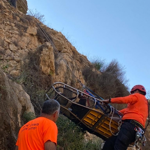 פצועה חולצה מנחל אל על - חדשות בפתח תקווה