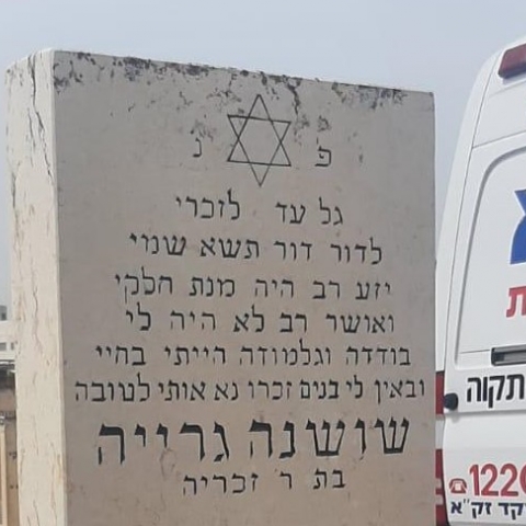 נכתב על גבי קבר בסגולה "בודדה וגלמודה הייתי בחיי ובאין לי בנים זכרו נא אותי לטובה" - חדשות בפתח תקווה