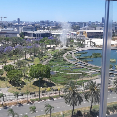חלקי ורסיסי רקטות נפלו ברחבי העיר פתח תקוה במהלך היממה האחרונה - חדשות בפתח תקווה