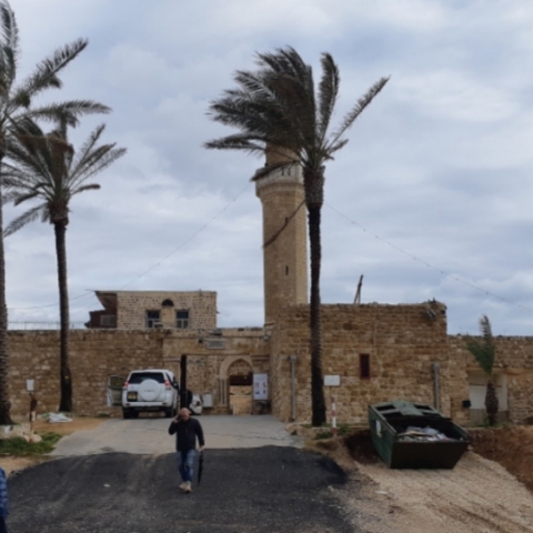 תקף ערבי במבצע שומר חומות, הורשע ויירצה 38 חודשי מאסר - חדשות בפתח תקווה