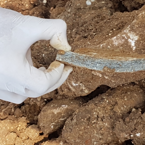 עיריית ראש העין ותאגיד המים אפק ישלמו קנס בסך 2.8 מיליון שקל בשל יצירת מפגע אסבסט - איכות הסביבה וחזות העיר בפתח תקווה