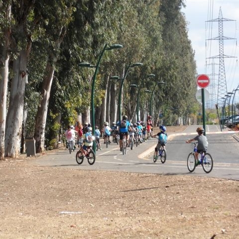 דין וחשבון: פתח תקווה היא העיר החמישית במספר הילדים ובני הנוער שנפגעו ברכיבה על אופניים - חדשות בפתח תקווה