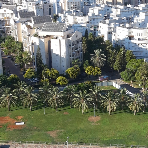 בונים להם גשר מעל הראש - חדשות בפתח תקווה