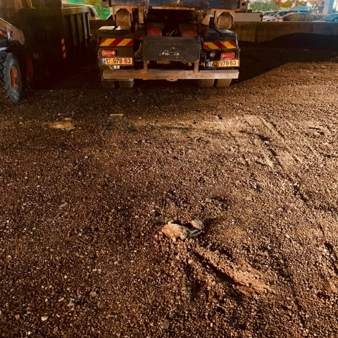 חשד להתעללות בבעל חיים בשכונת אם המושבות החדשה - בעלי חיים בפתח תקווה