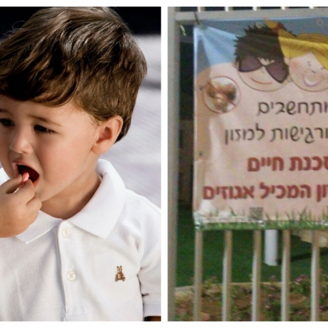 הצעה לישיבת מועצה: הגנה על תושבים הסובלים מאלרגיות - חדשות בפתח תקווה