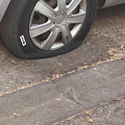 חתך צמיגים של  9 רכבים ברחוב ויסוקר בפתח תקווה - חדשות בפתח תקווה