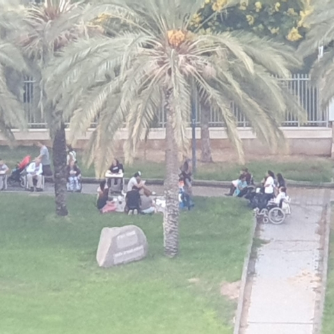 גרינברג (לא טעות): עשו סקר היתכנות לבניית הגשר, אבל לא עשו כי לא צריך (וידיאו) - חדשות בפתח תקווה