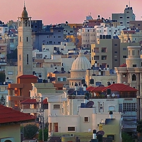 הילד עלה על ההסעה לבית הספר ונעלם - חדשות בפתח תקווה