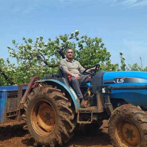 "מזיק שפלש לישראל כחלק מייבוא תוצרת חקלאית מחו"ל  מאיים להשמיד את מטעי פירות ההדר בארץ" - צרכנות בפתח תקווה