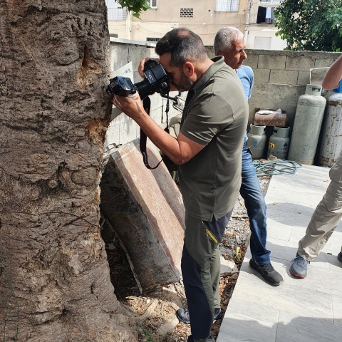 מומחה מספרד הגיע לפתח תקווה לסייע במיגור הטרמיט הפורמוסי - חדשות בפתח תקווה